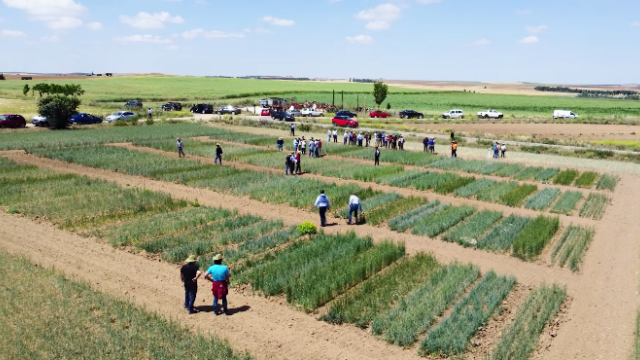 RURACTIVE Unveils New Video Highlighting Project Objectives and Anticipated Impact