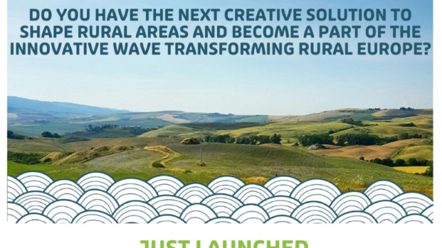 Open Call Now Launched: RISE Project RURACTIVE Seeks Innovators to Develop Novel Solutions for Rural Challenges