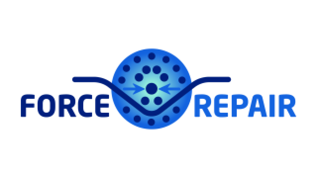 FORCE REPAIR